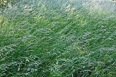 TGA：《吸血鬼：避世血族 血猎》预告 多人大逃杀